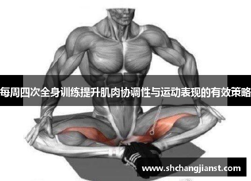 每周四次全身训练提升肌肉协调性与运动表现的有效策略