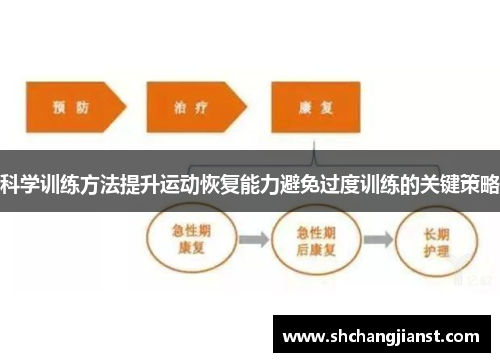 科学训练方法提升运动恢复能力避免过度训练的关键策略