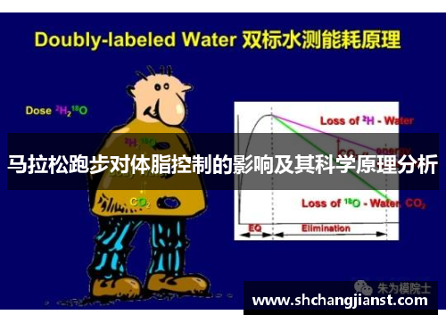 马拉松跑步对体脂控制的影响及其科学原理分析