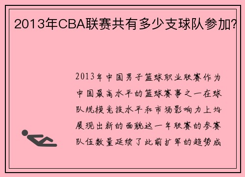 2013年CBA联赛共有多少支球队参加？